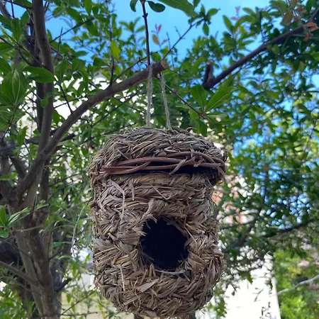 Misho With Terrace Apartman Split